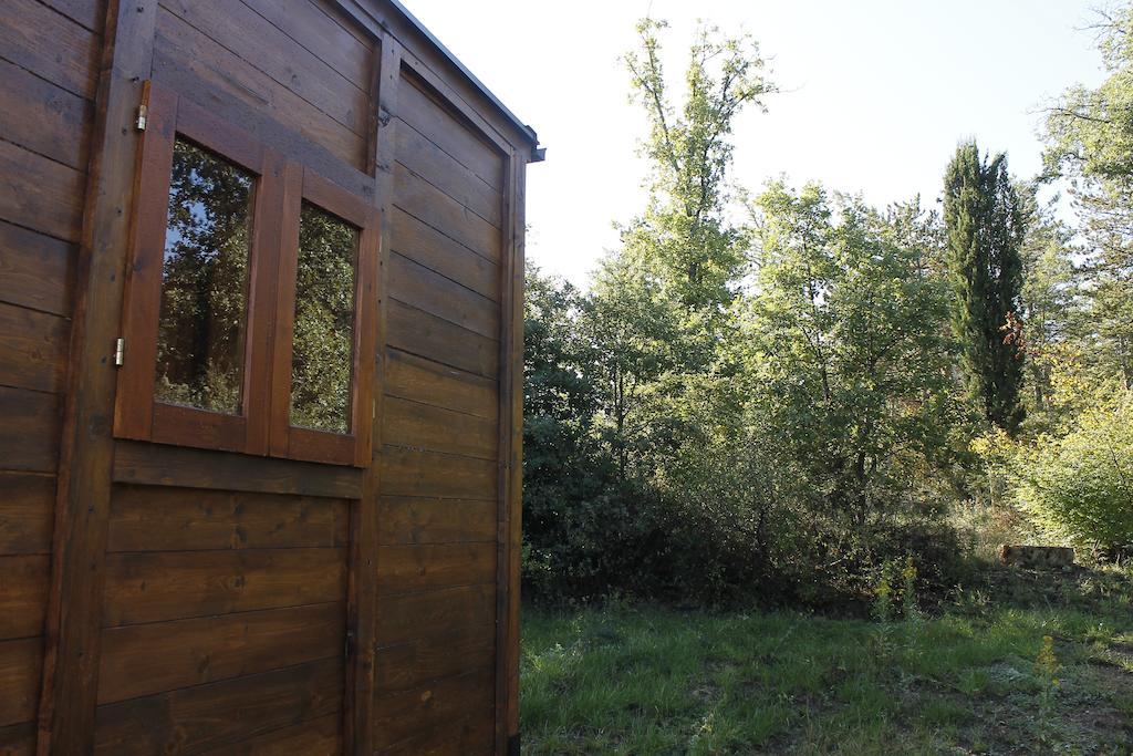 Agricampeggio Madonna Di Pogi Bucine Quarto foto
