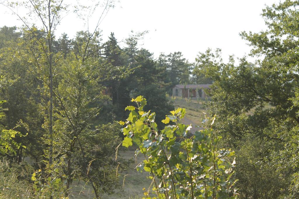 Agricampeggio Madonna Di Pogi Bucine Exterior foto